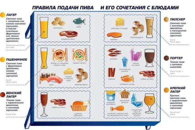 Як правильно пити пиво — фото 1