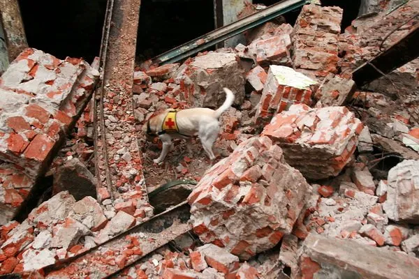 На Тернопільщині внаслідок обрушення конструкцій недіючої будівлі загинула людина (Фоторепортаж) — фото 2