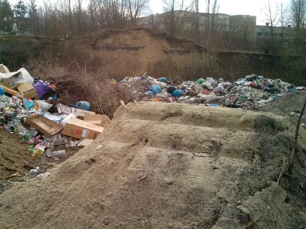 Біля Микулинецького кладовища утворилось велике сміттєзвалища (Фоторепортаж) — фото 7