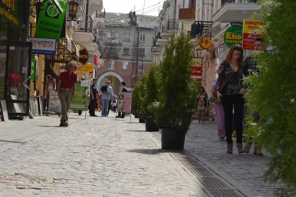 Цього року Тернопіль знову прикрашатиме мобільне озеленення — фото 1