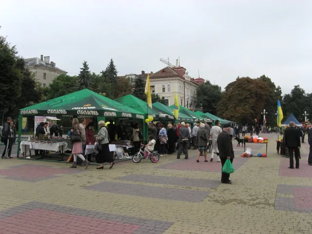 На гаражному розпродажі продавали каски з Майдану (Фоторепортаж) — фото 8