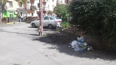 У центрі Тернополя поселились свині (Фото) — фото 1