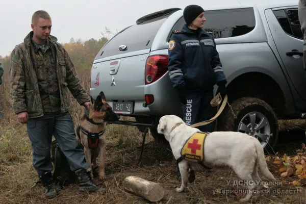 Більше півтисячі людей шукали в лісі п’ятирічну дівчинку (Фоторепортаж) + (Відео) — фото 3
