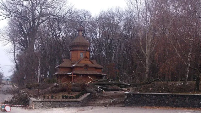 В тернопільському парку комунальники влаштували «деревопад» (Фото) — фото 2