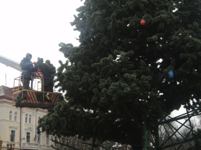 Головна ялинку Тернополя закінчують монтувати — фото 2