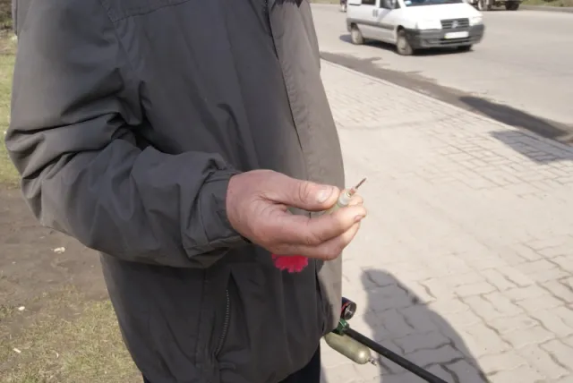 Останніми тижнями почастішали скарги на безпритульних собак на вулицях міста (фото) — фото 1